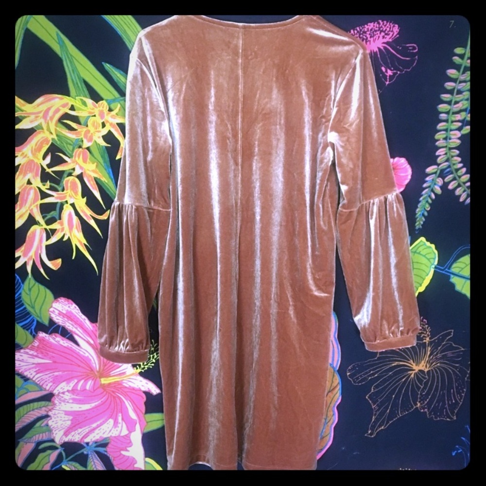 Madewell velvet dress